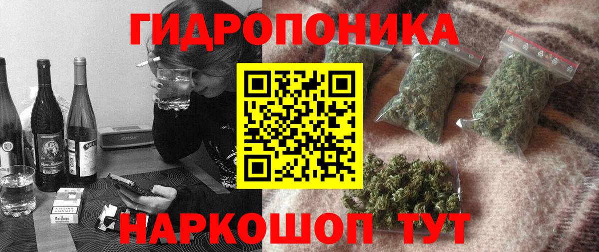 Конопля SATIVA & INDICA  Канабис план  Вход с VPN  Миллерово  Бошки Шишки Ganja 